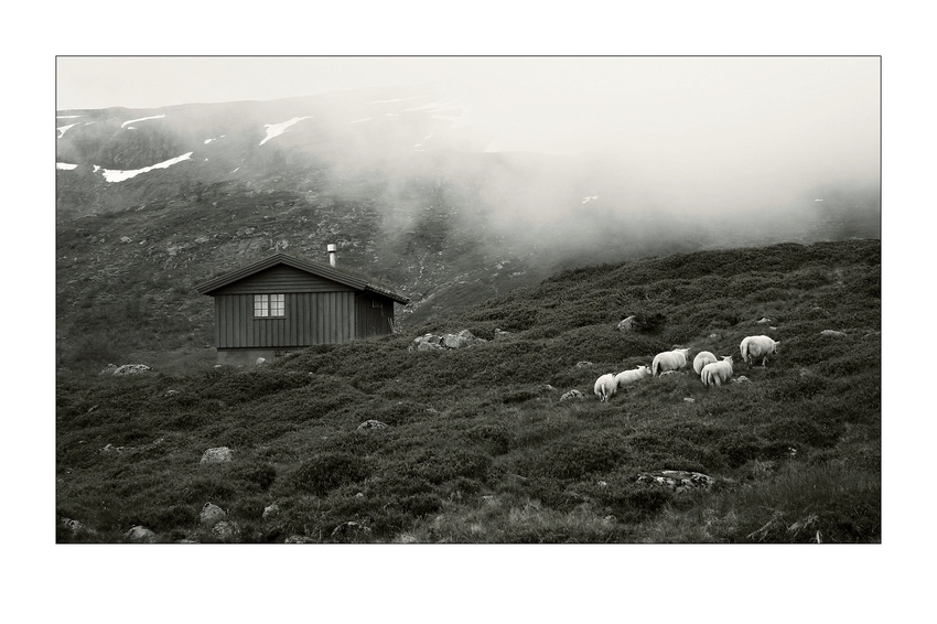 Berge. Nebel. Hütte. Schafe.