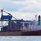 BERGE ODEL / Bulk Carrier / Rotterdam