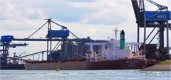 BERGE ODEL / Bulk Carrier / Rotterdam