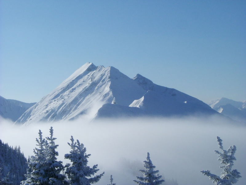 Berge Österreichs!