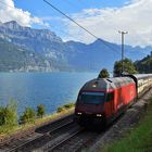 Berge See und Bahn