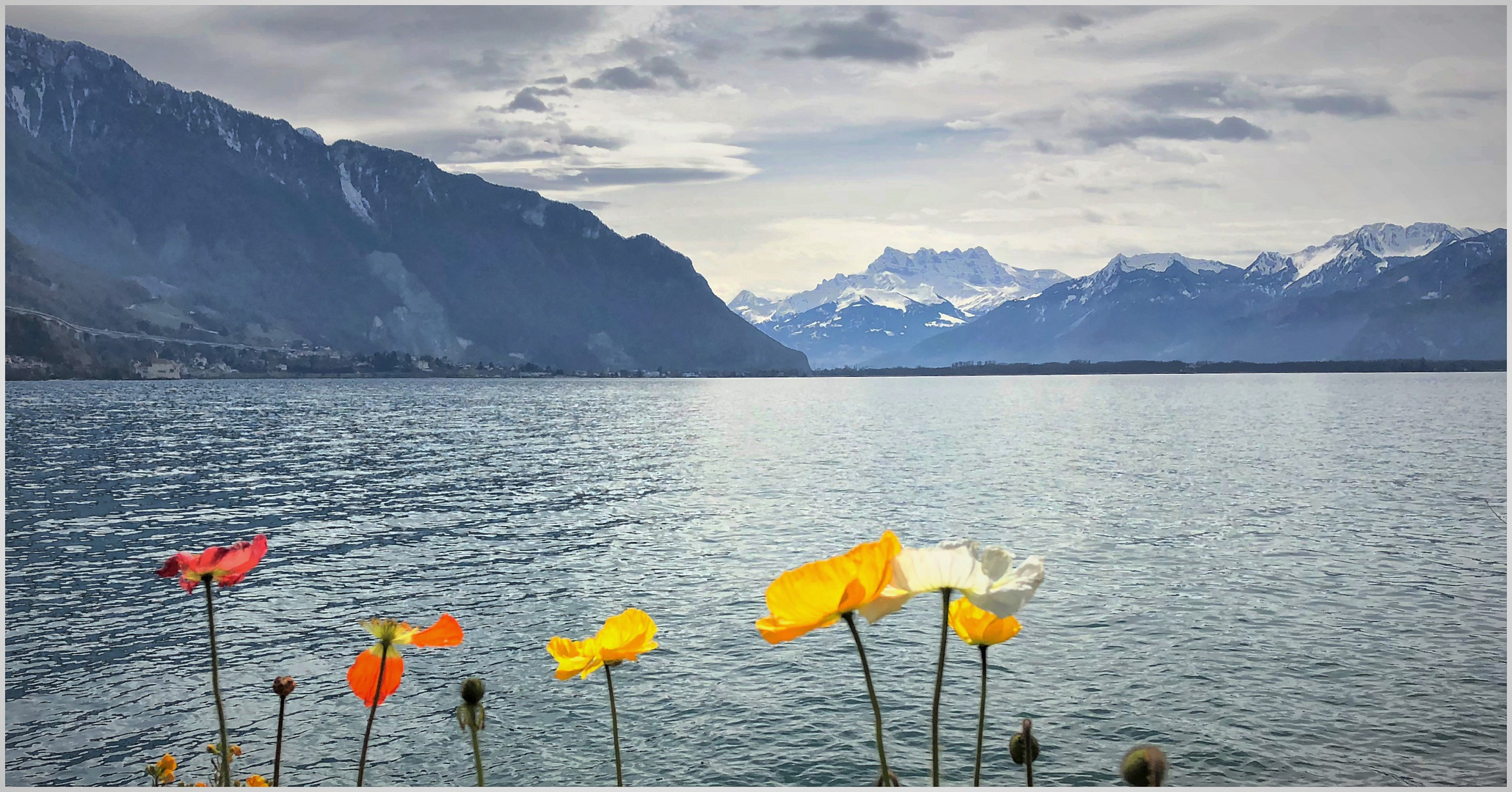 Berge, Seen, Blumen