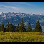 Berge und Bäume