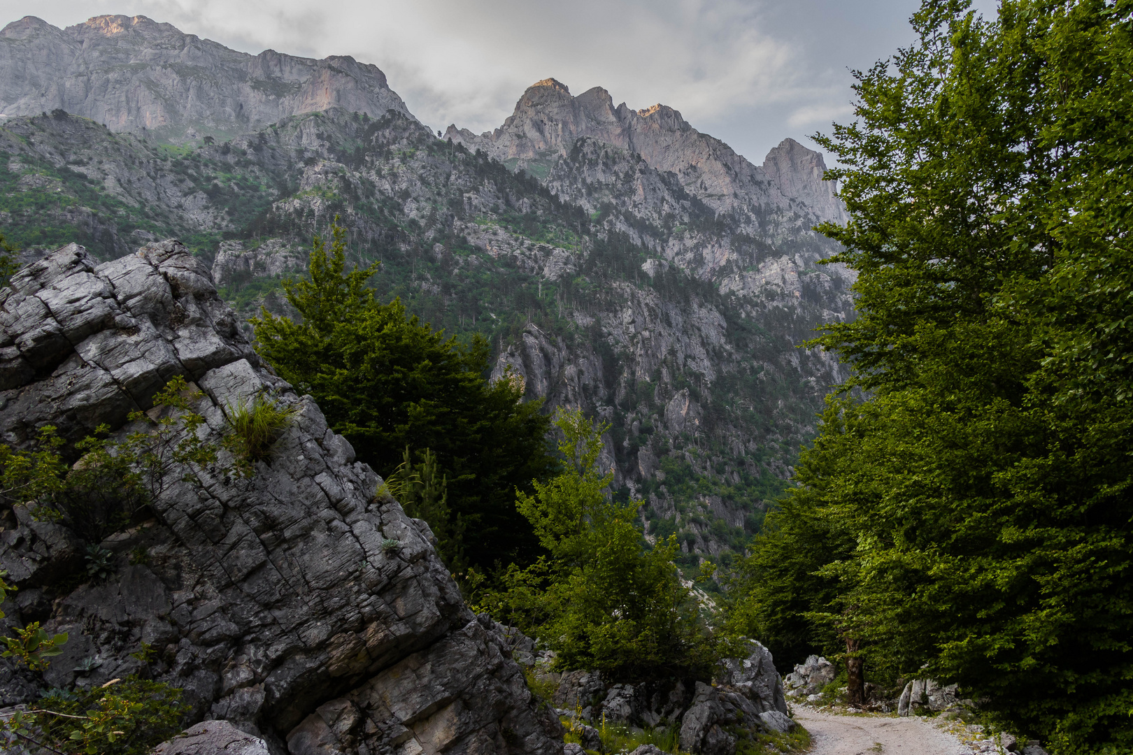 Berge und Bäume