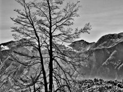 berge und bäume ...