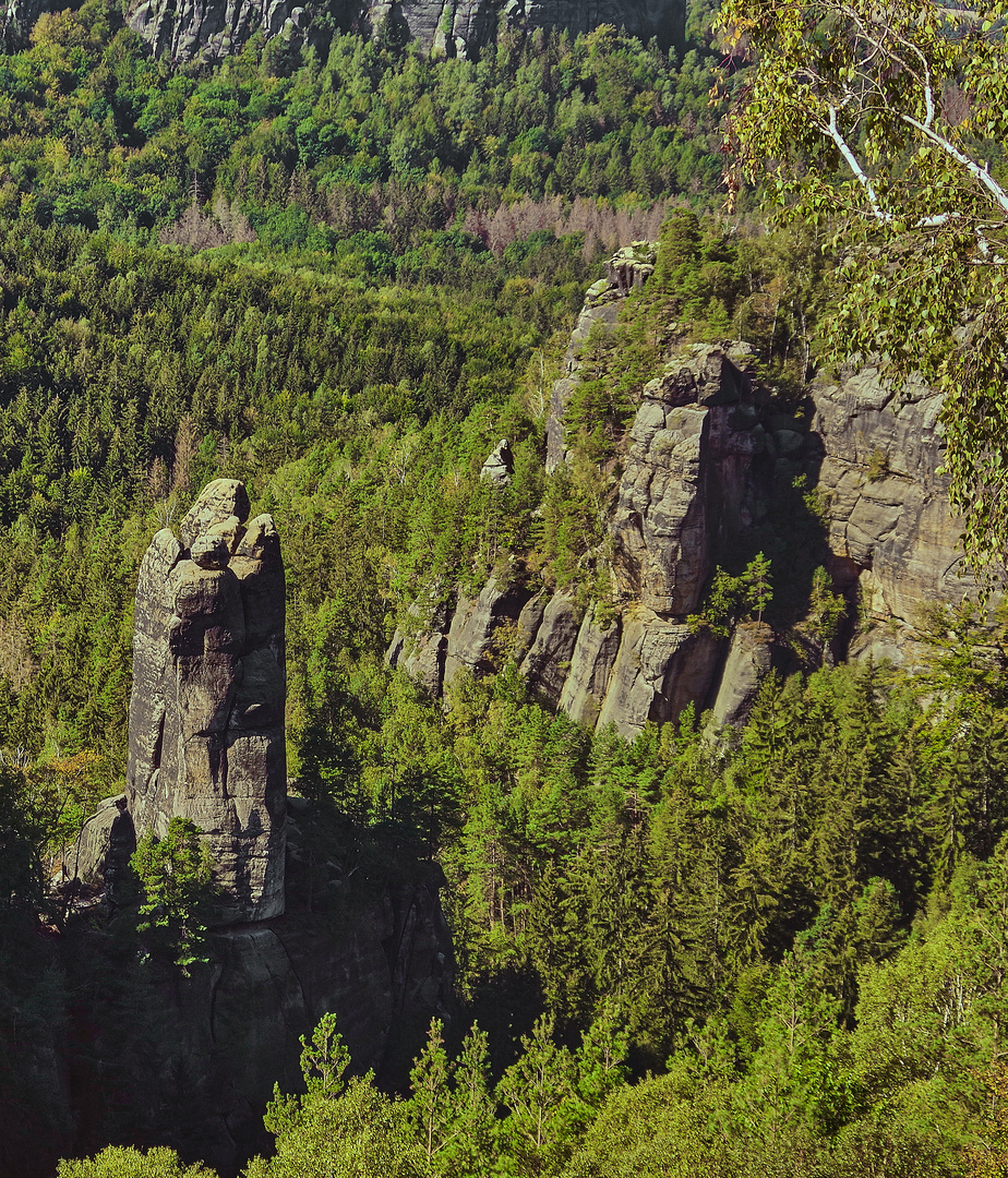 Berge und Bäume