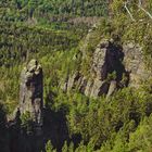 Berge und Bäume