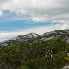 Berge und Blüten