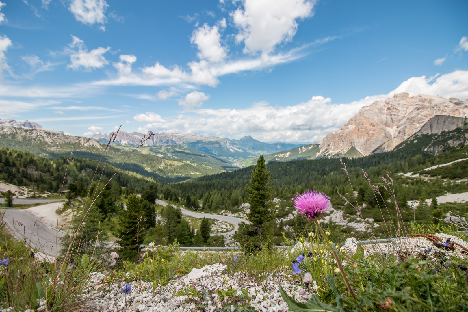 Berge und Blumen