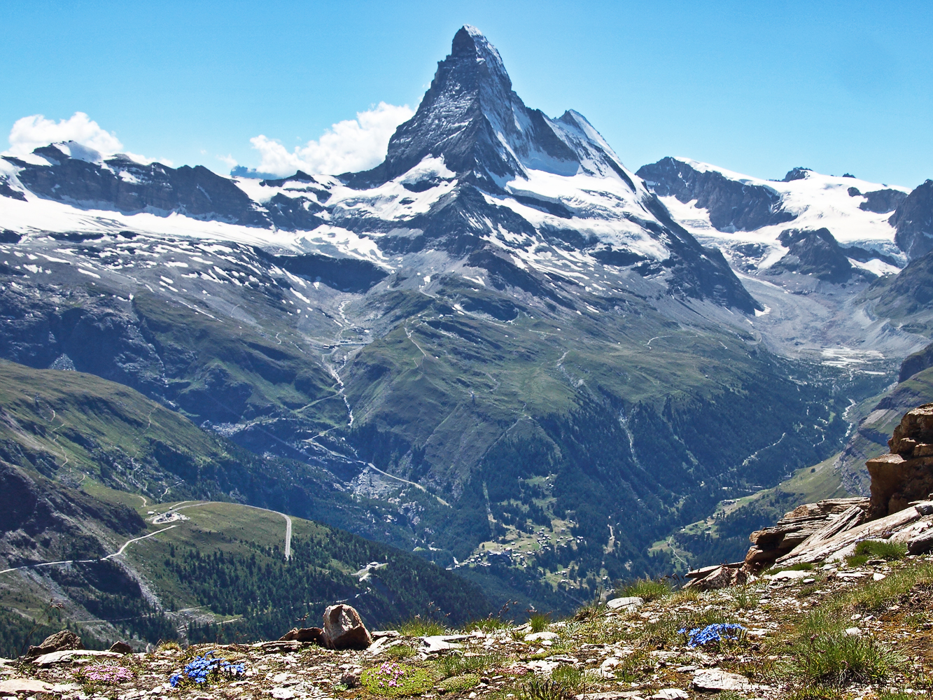 Berge und Blumen des Hochgebirges