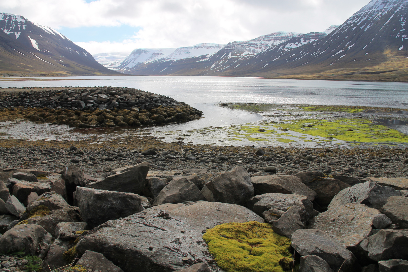 Berge und Fjorde in Island