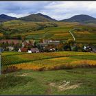 Berge und Reben im Herbst...