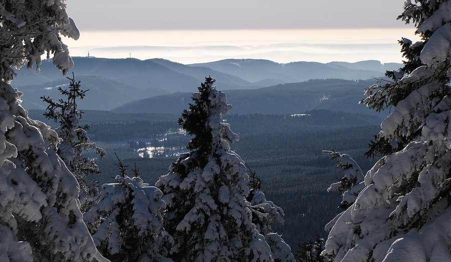 Berge und Täler (Westharz)