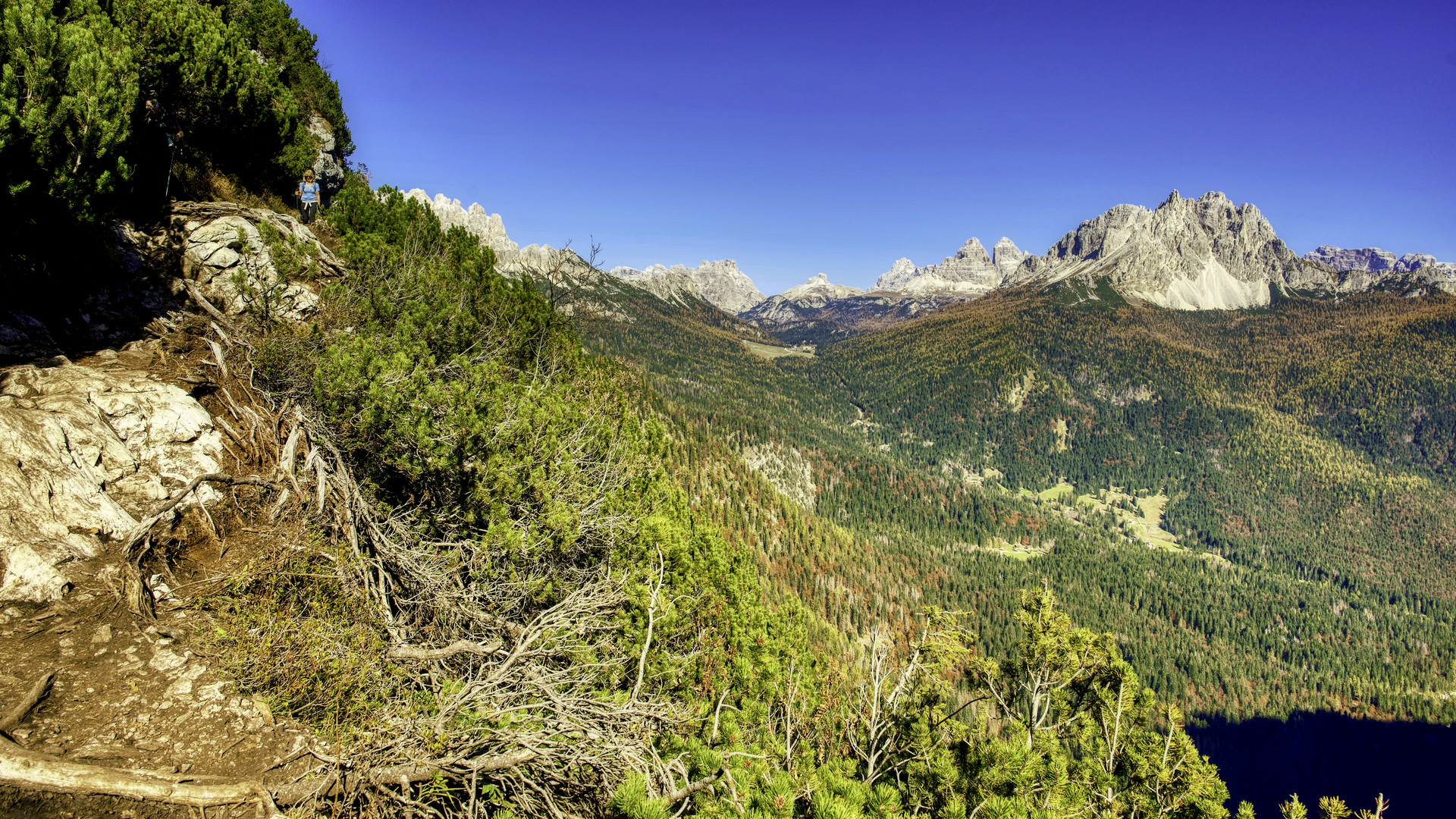 Berge und Wälder