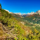 Berge und Wälder