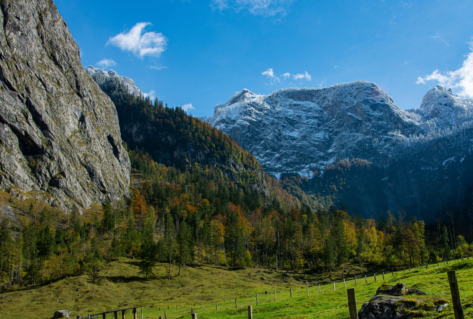 Berge und Wald