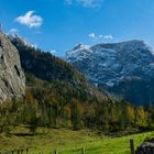 Berge und Wald