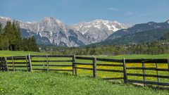 Berge und Wiesen