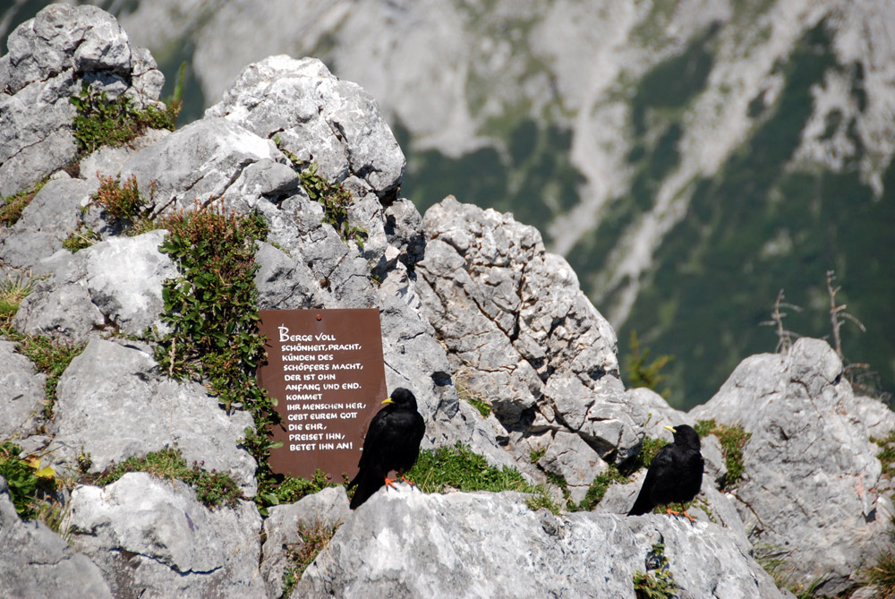 Berge voll Schönheit, Pracht ...