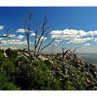 Berge vom Montserrat