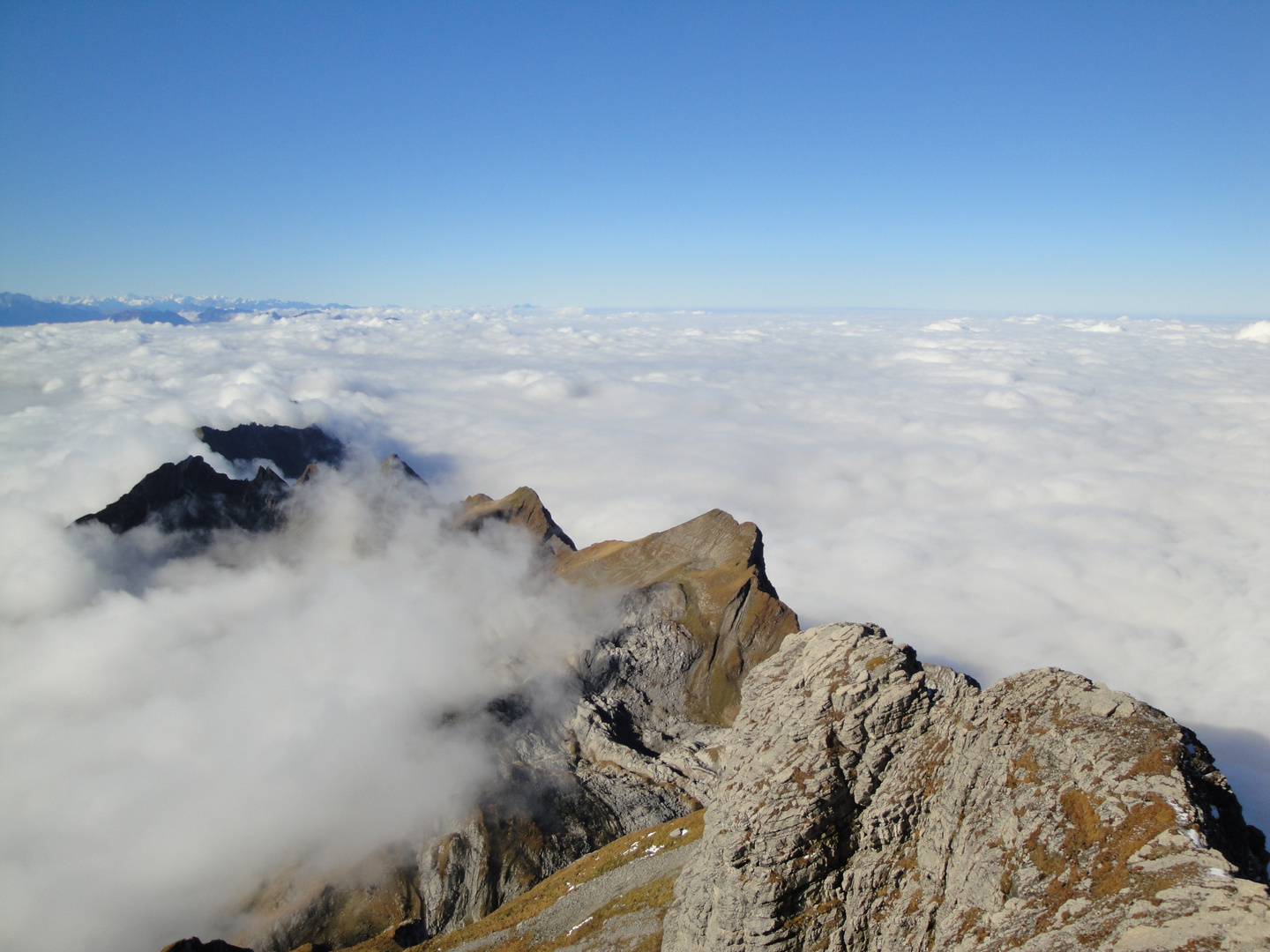 Berge vom Säntis aus im Wolkenmeer