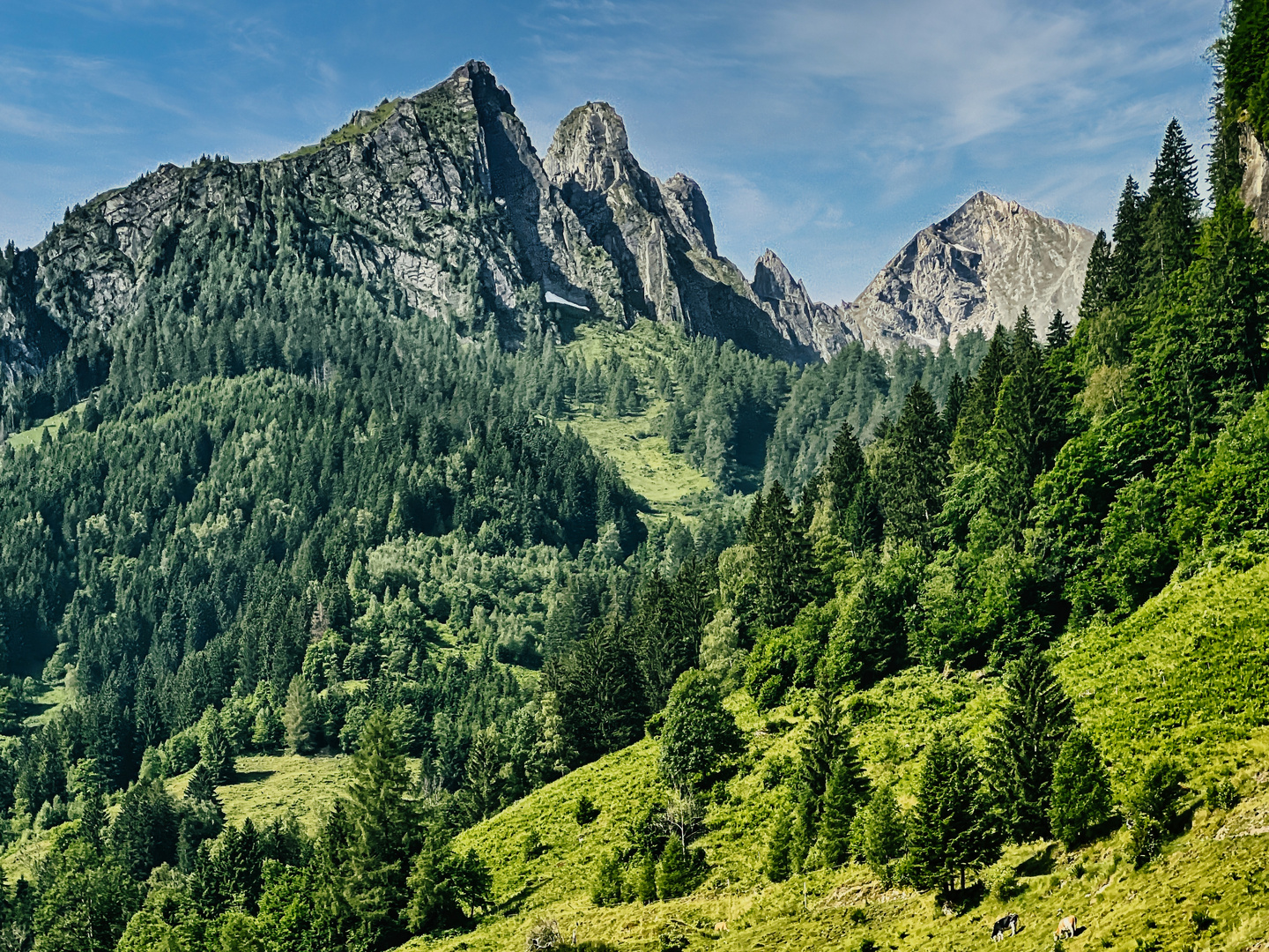 Berge von unten