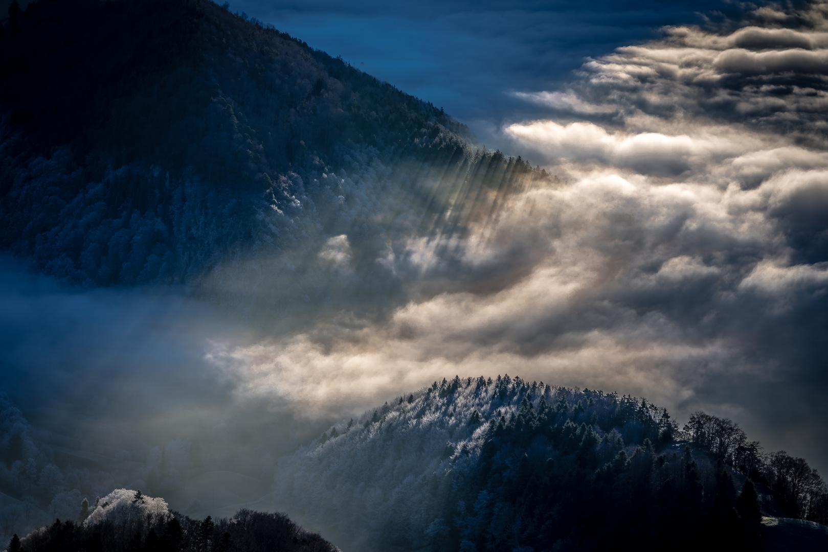 Berge, Wald und Nebel