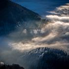 Berge, Wald und Nebel