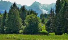 Berge Wasser und grüne Natur, Idylle pur