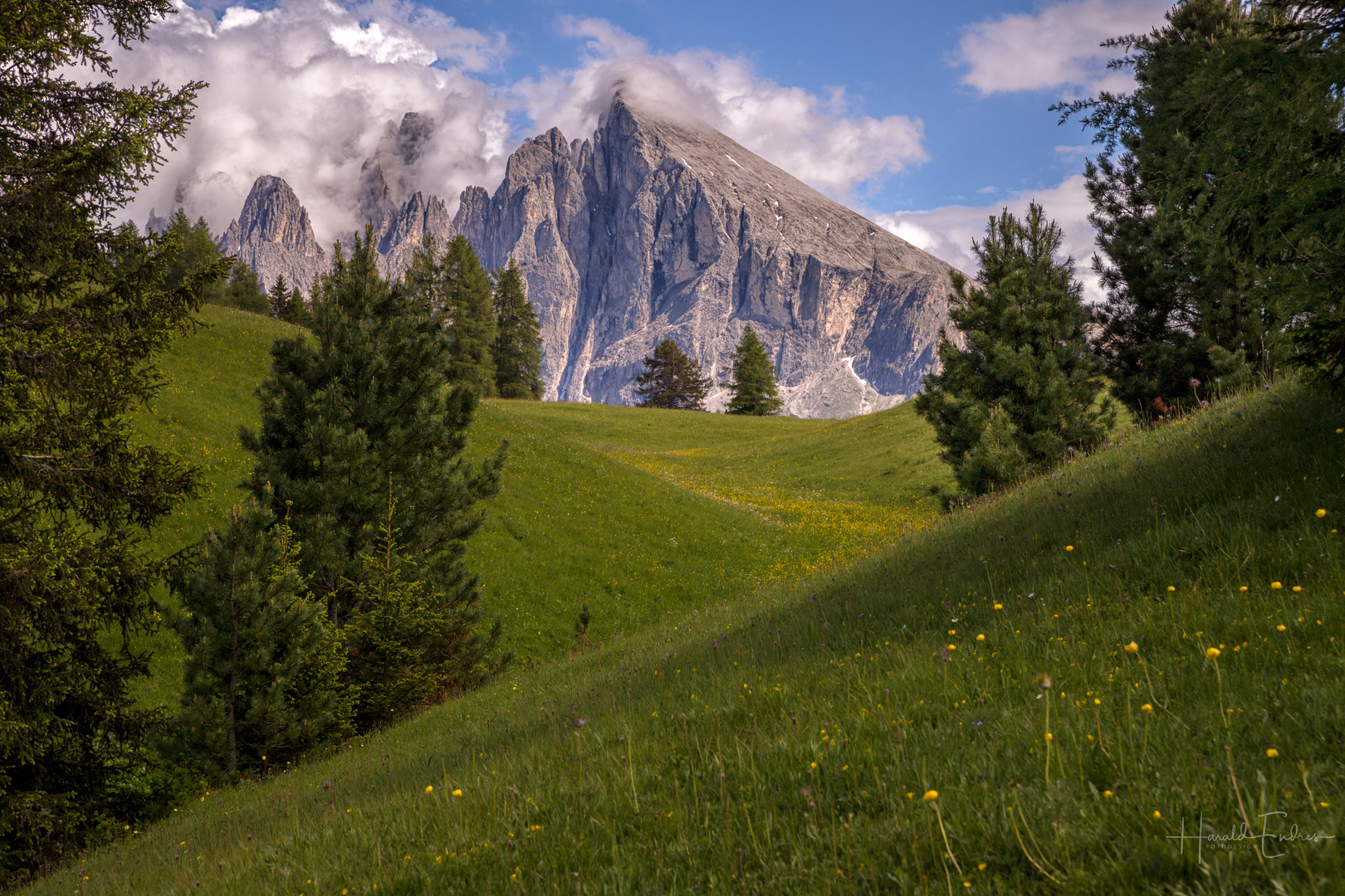 Berge, Wiese, Schatten und Licht