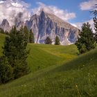 Berge, Wiese, Schatten und Licht