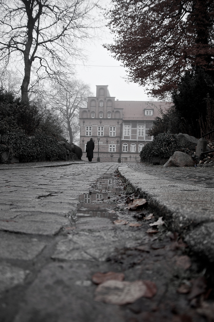 Bergedorfer Schloss