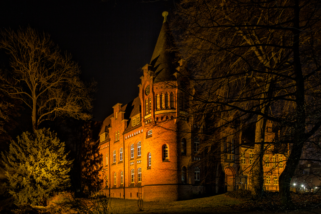 Bergedorfer Schloss V