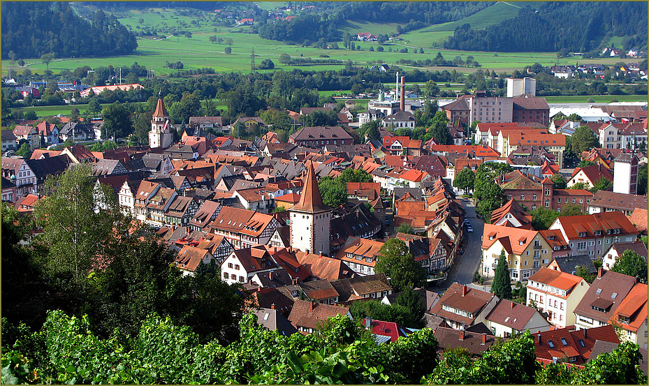 Bergeleblick.