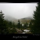 Bergell im Nebel