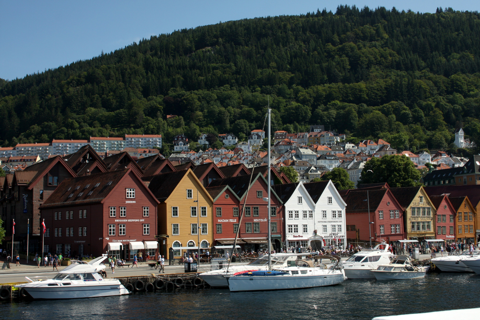 Bergen 07