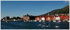 Bergen