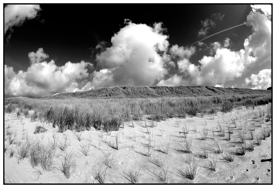 Bergen aan Zee I