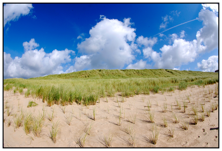 Bergen aan Zee II