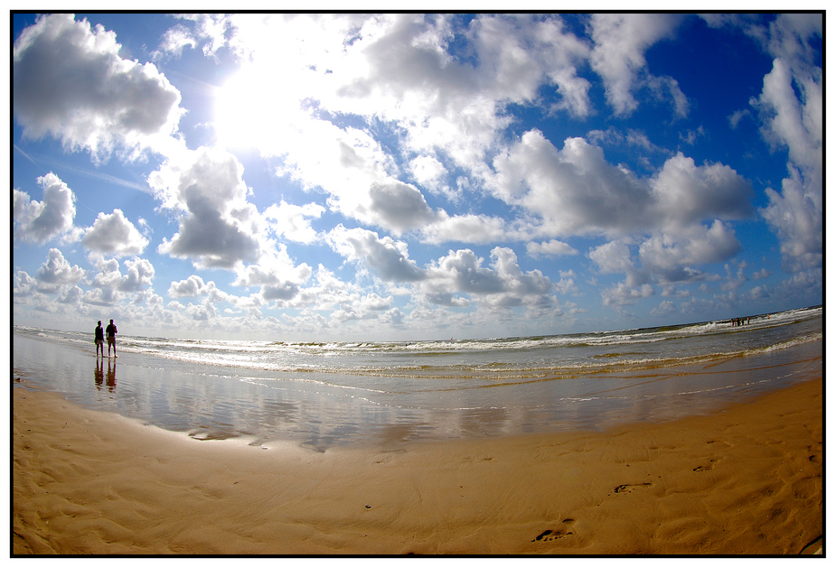 Bergen aan Zee IV