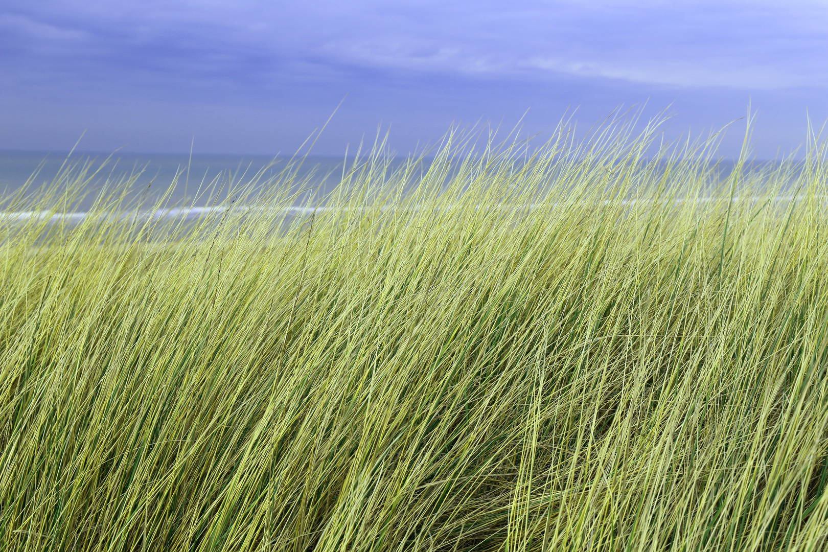 Bergen aan Zee - Niederlande