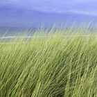 Bergen aan Zee - Niederlande