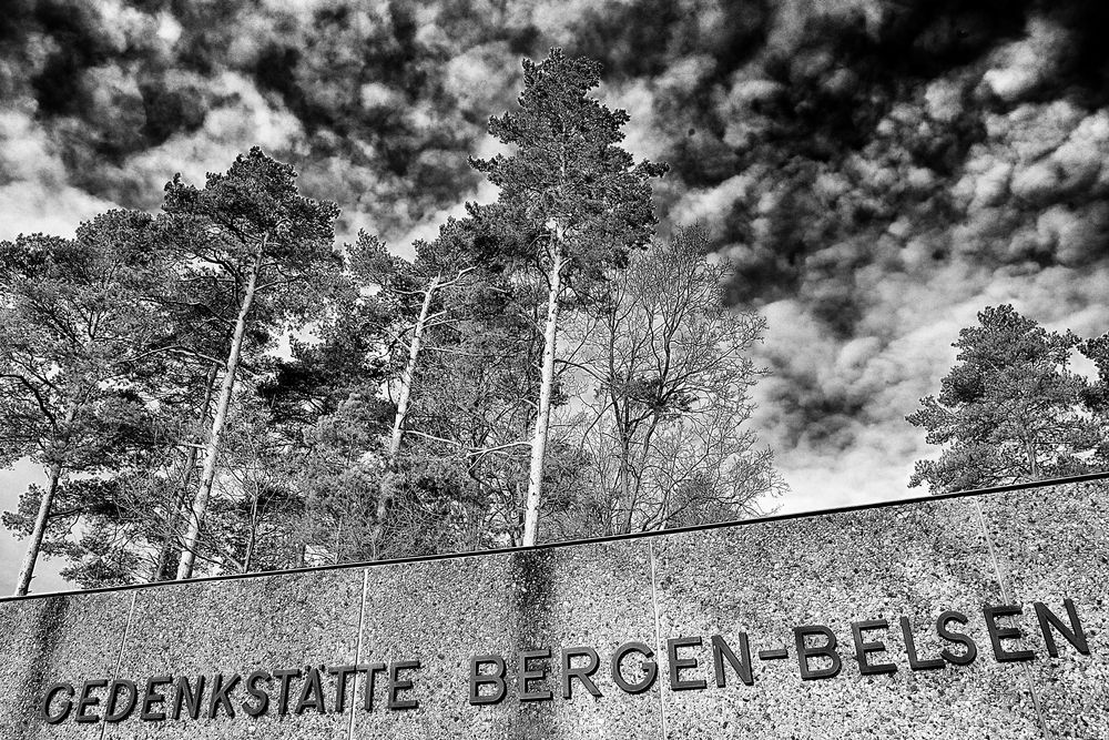Bergen Belsen / 2014 - 1