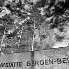 Bergen Belsen / 2014 - 1