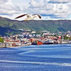 Bergen, Hafen