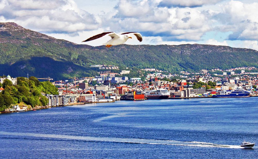 Bergen, Hafen