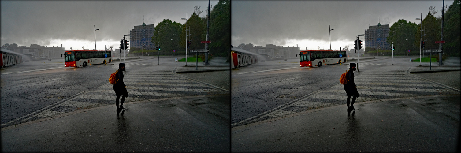 Bergen (Nor) lädt zum Stadtbummel ein 2  (3D-II-View)