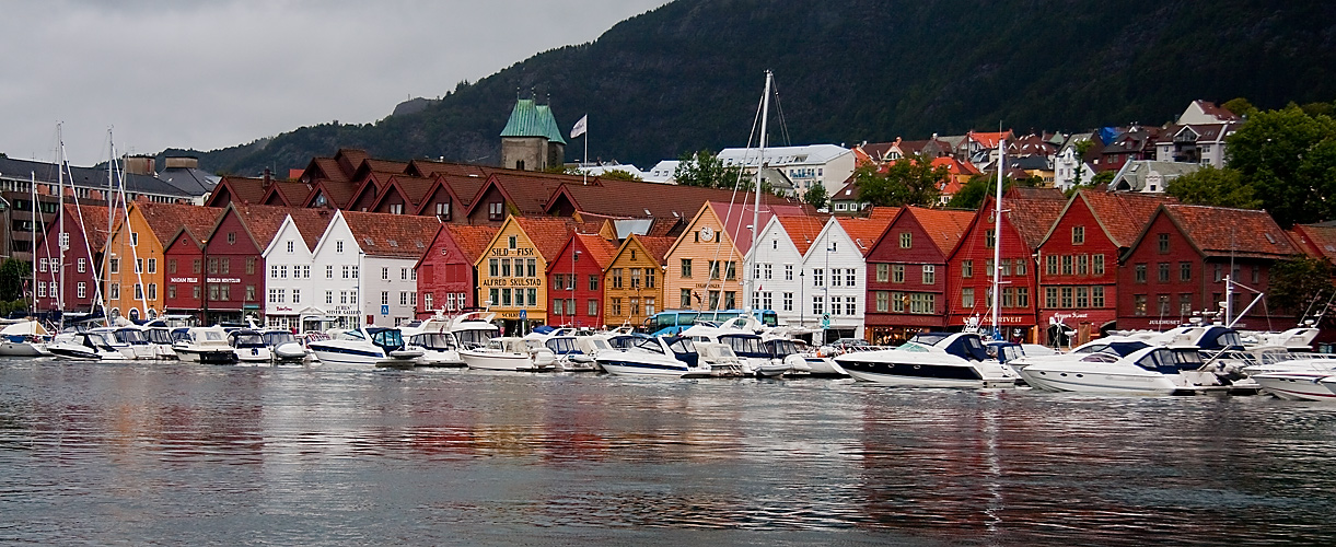 Bergen-Panorama