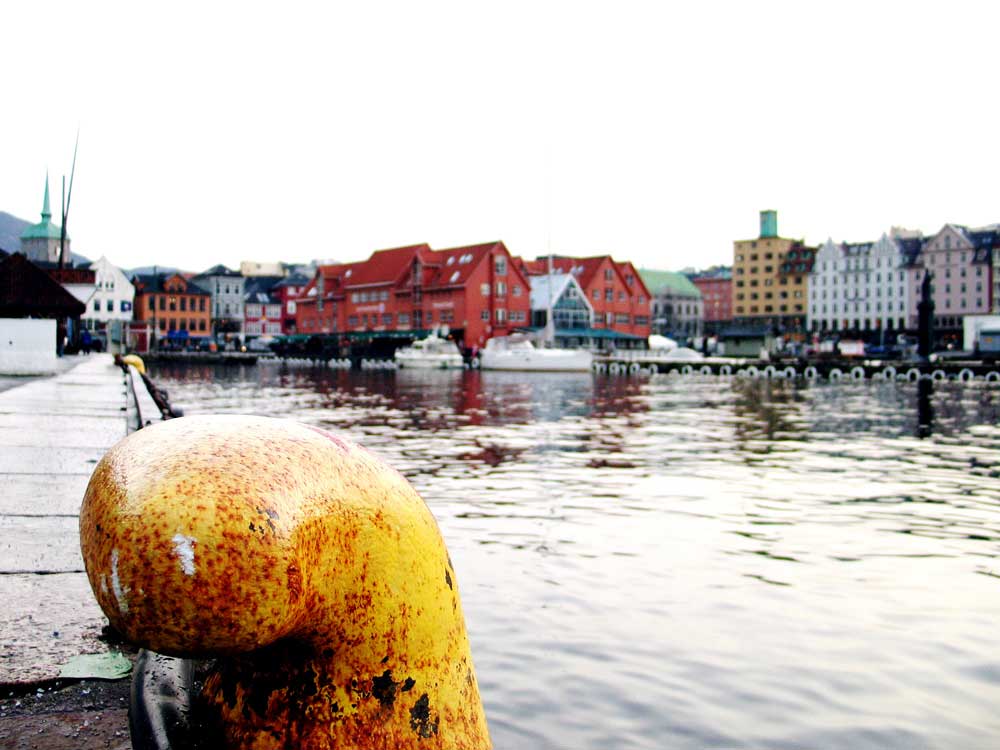 Bergen, Vågen