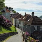 Bergen_2